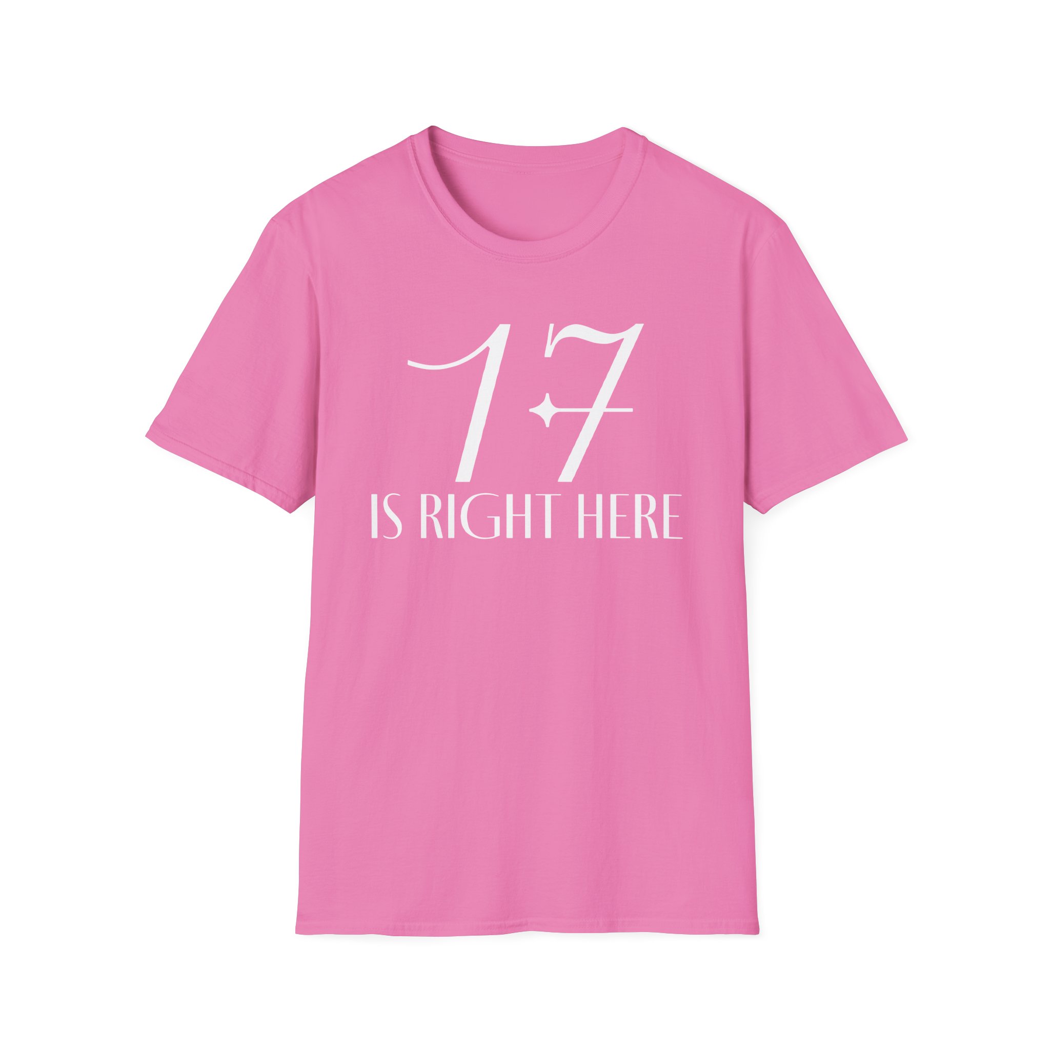 Seventeen Unisex Softstyle T-Shirt