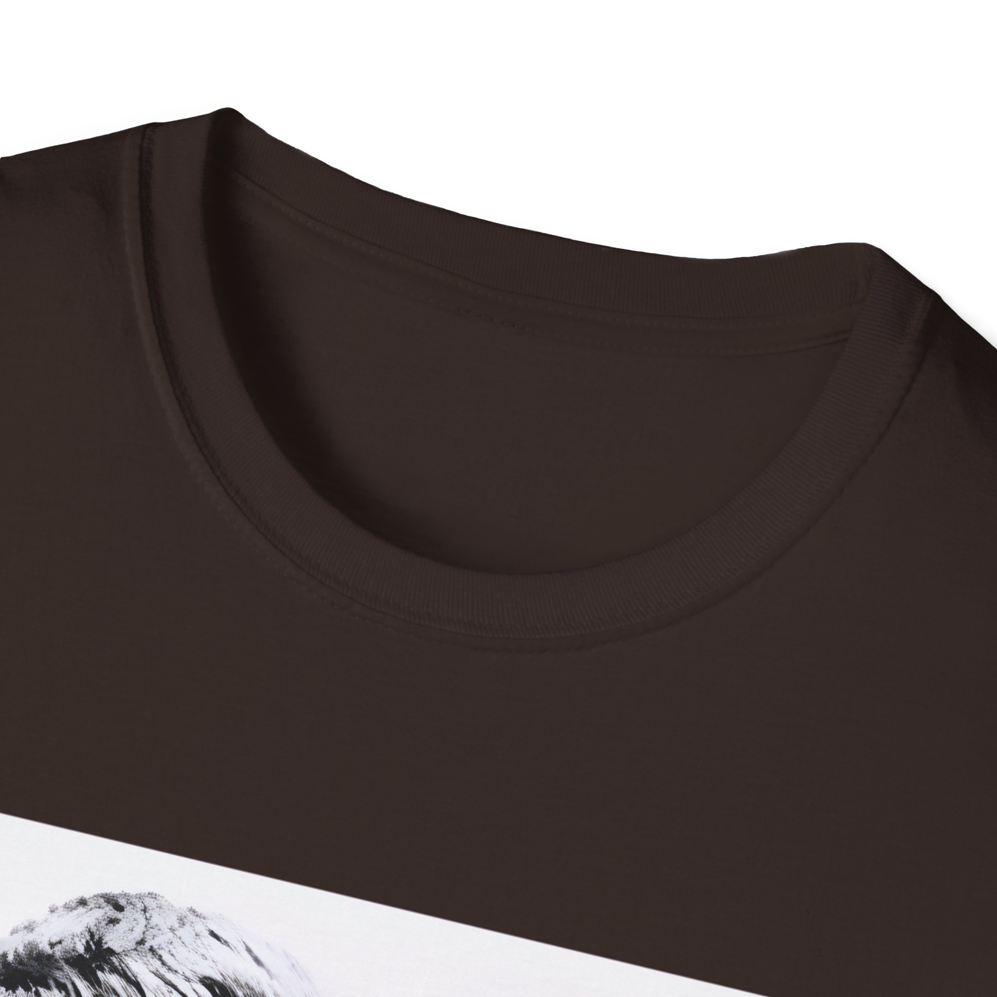Oasis Liam & Noel Unisex Softstyle T-Shirt