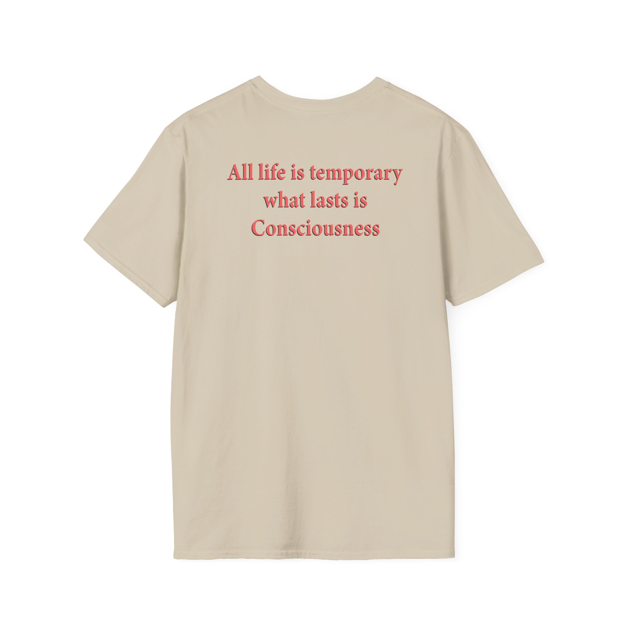 Blood Incantation All Life Is Temporary Unisex Softstyle T-Shirt