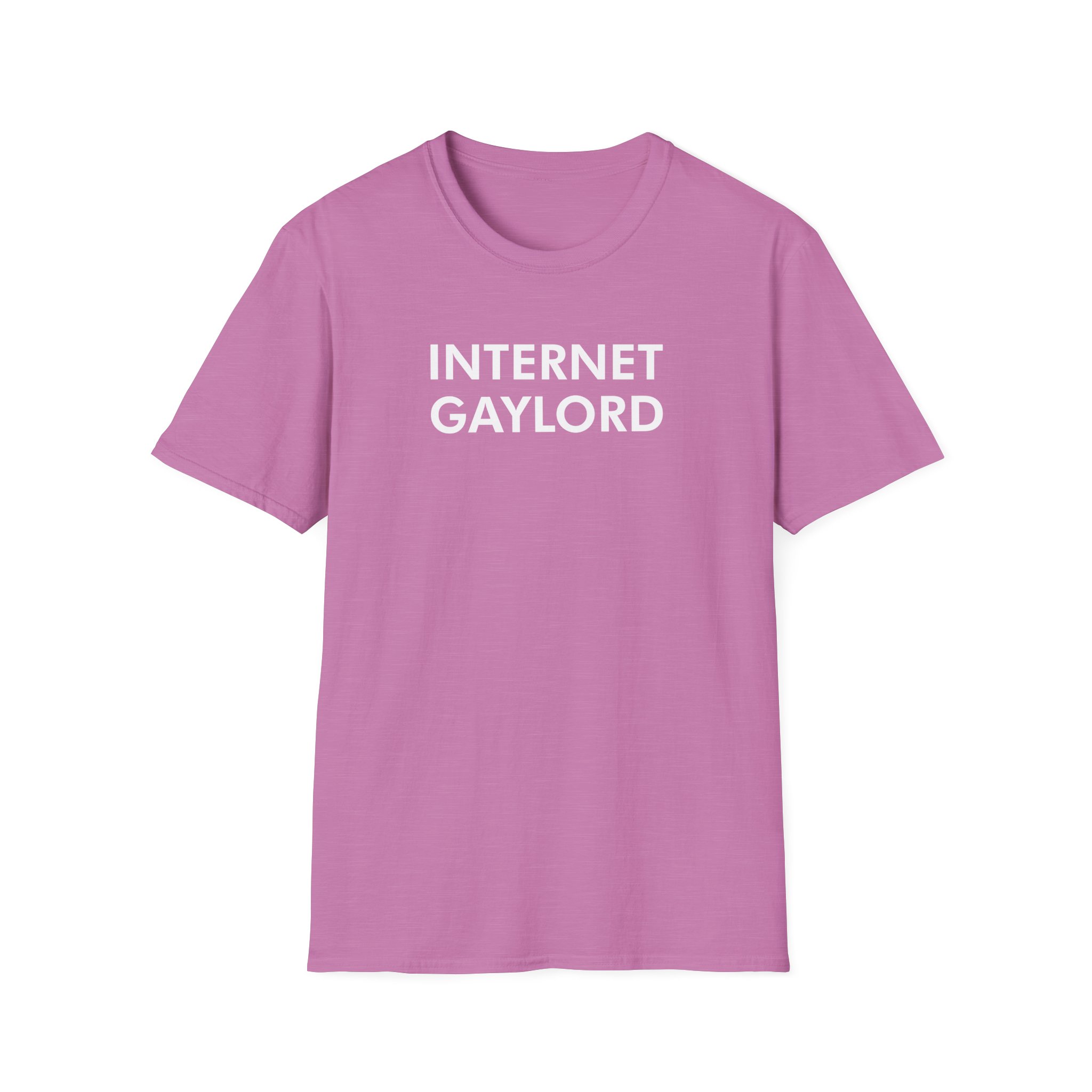 Imallexx Internet Gaylord Unisex Softstyle T-Shirt