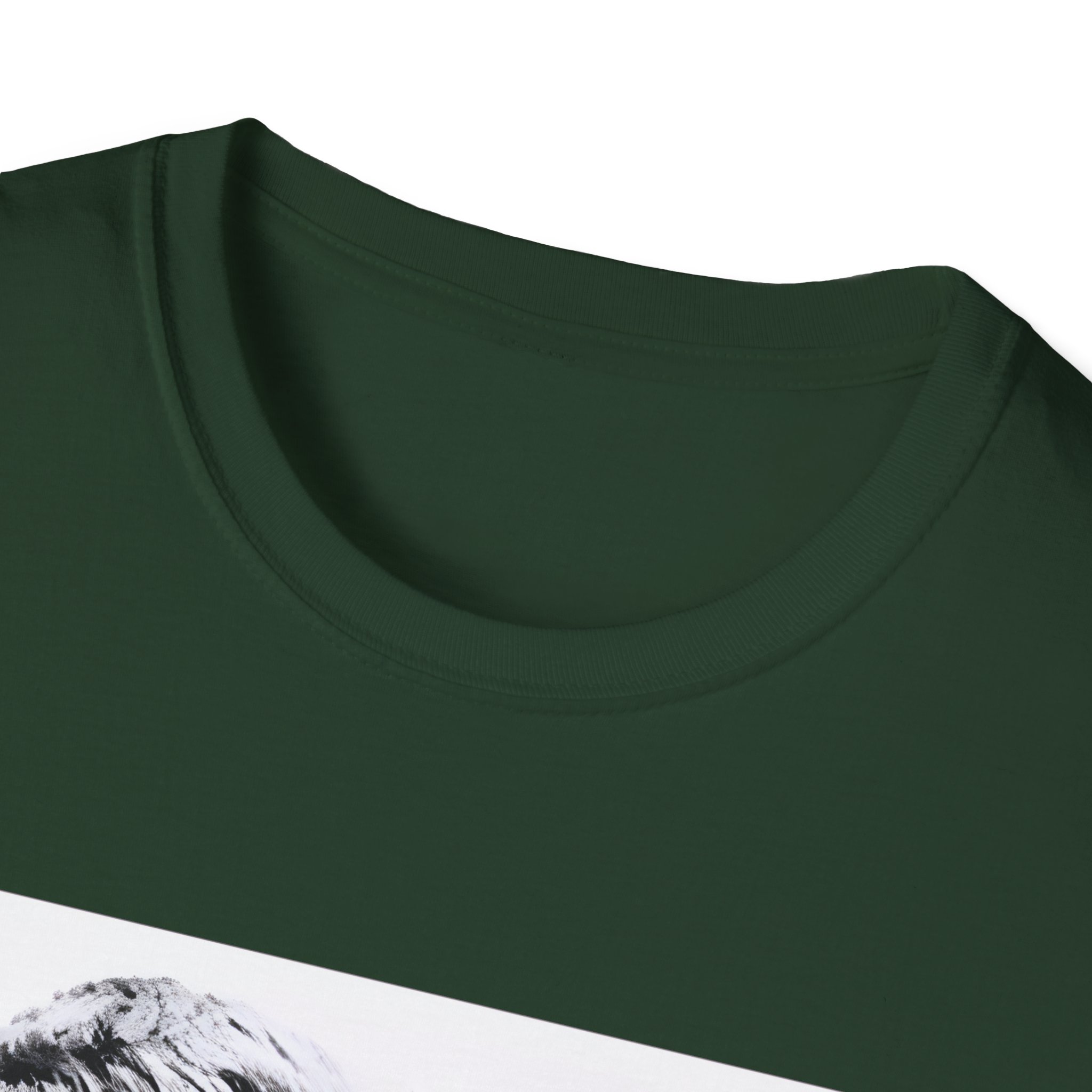 Oasis Liam & Noel Unisex Softstyle T-Shirt