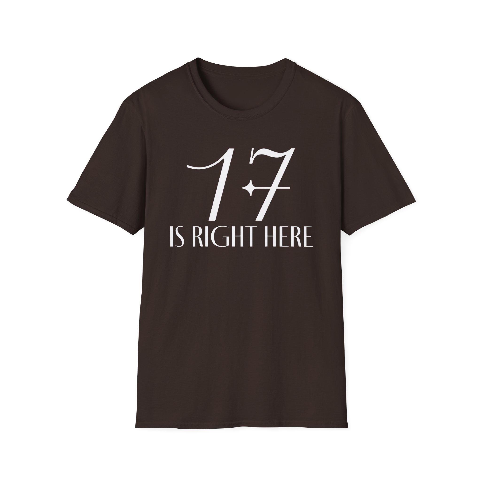 Seventeen Unisex Softstyle T-Shirt