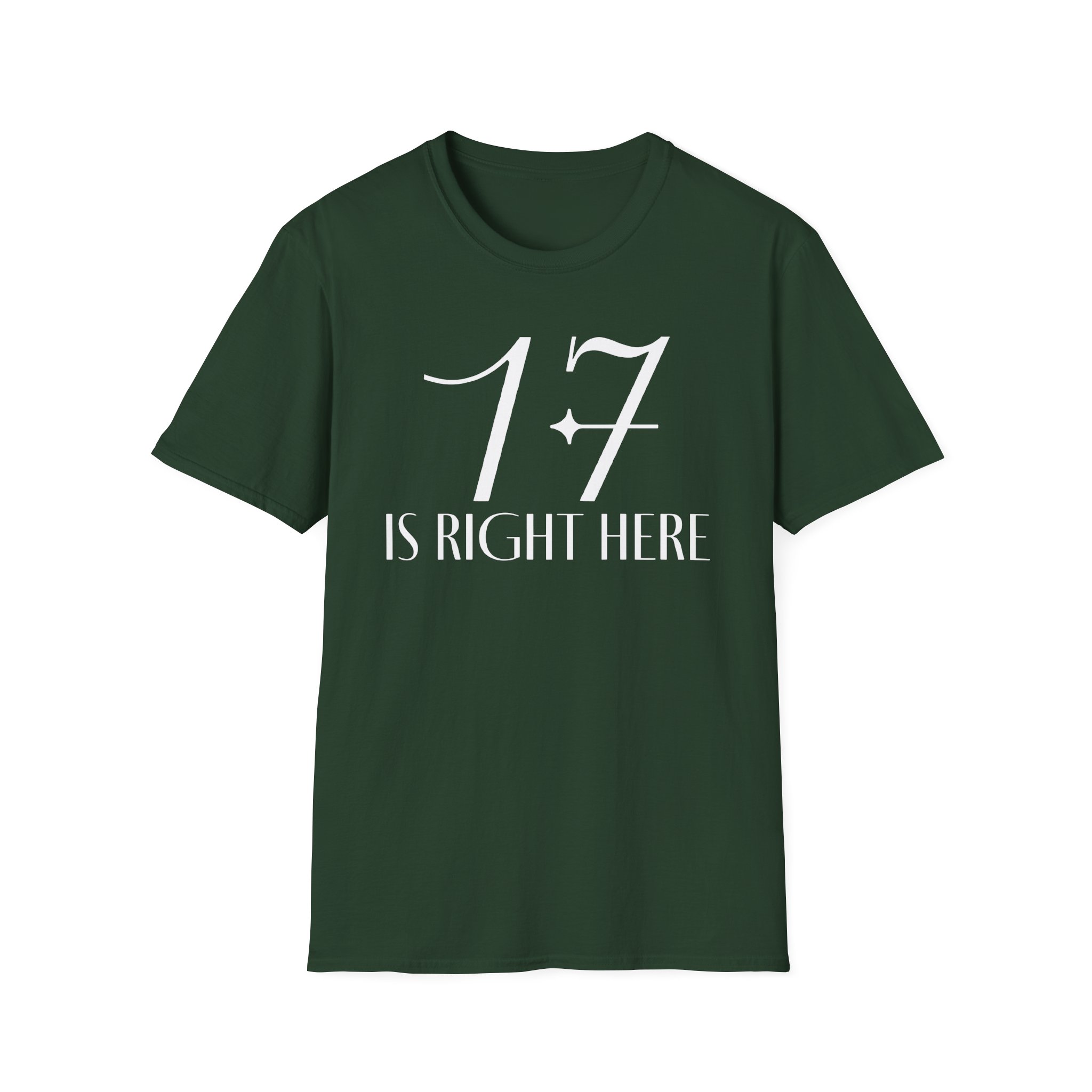 Seventeen Unisex Softstyle T-Shirt