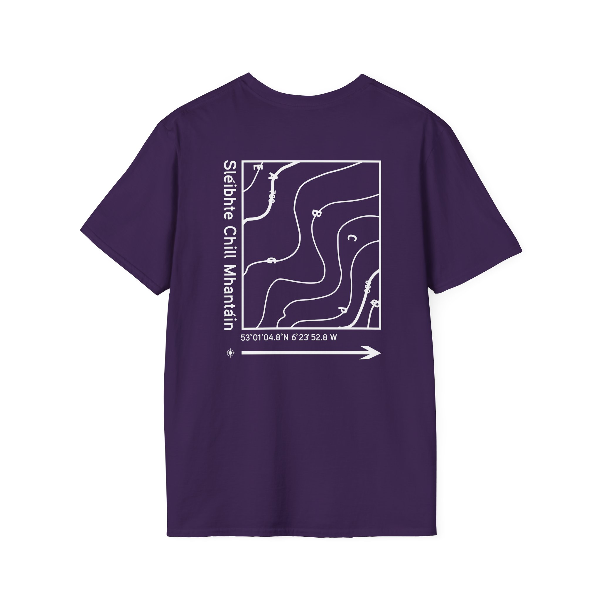 Dermot Kennedy Unisex Softstyle T-Shirt