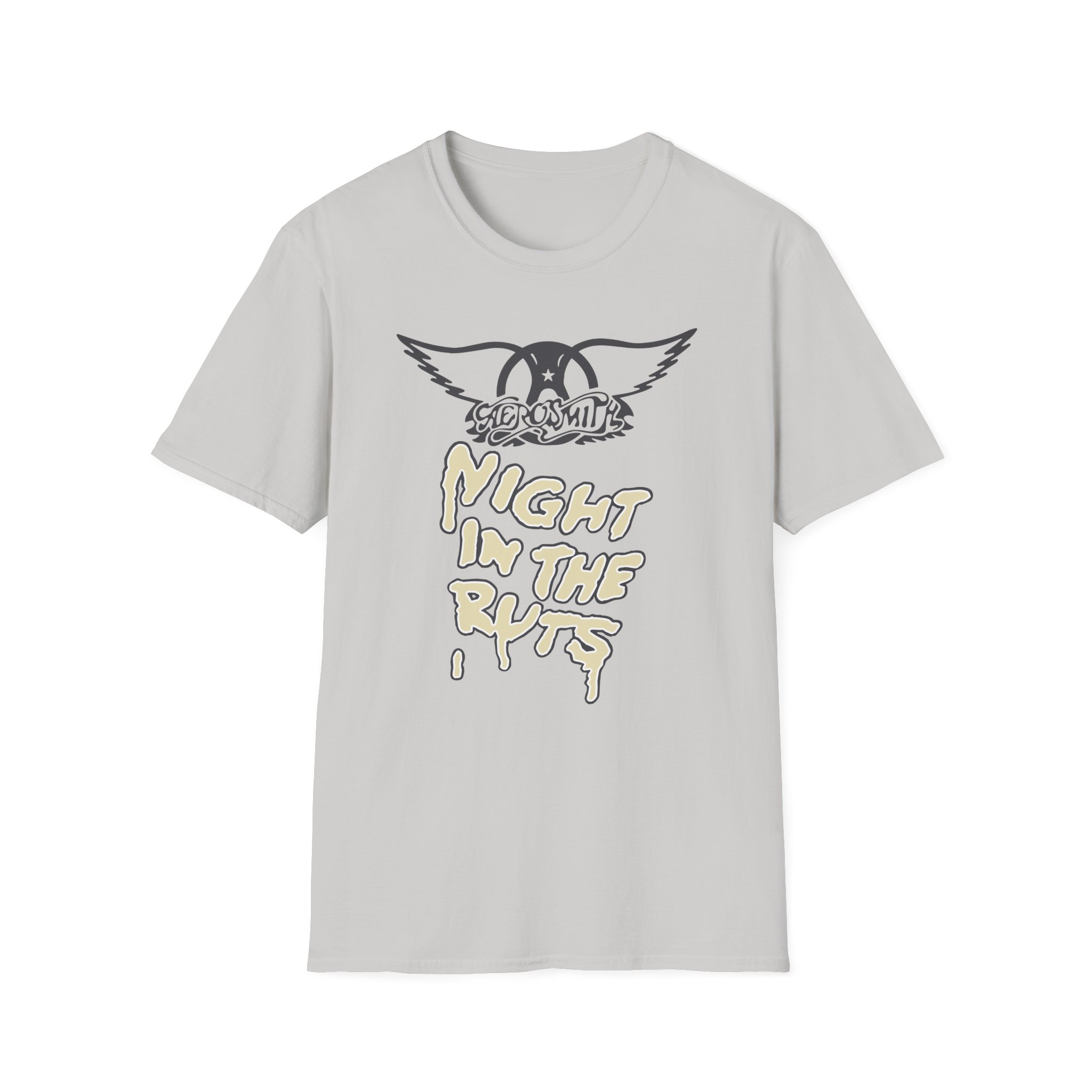 A Right in the Unisex Softstyle T-Shirt