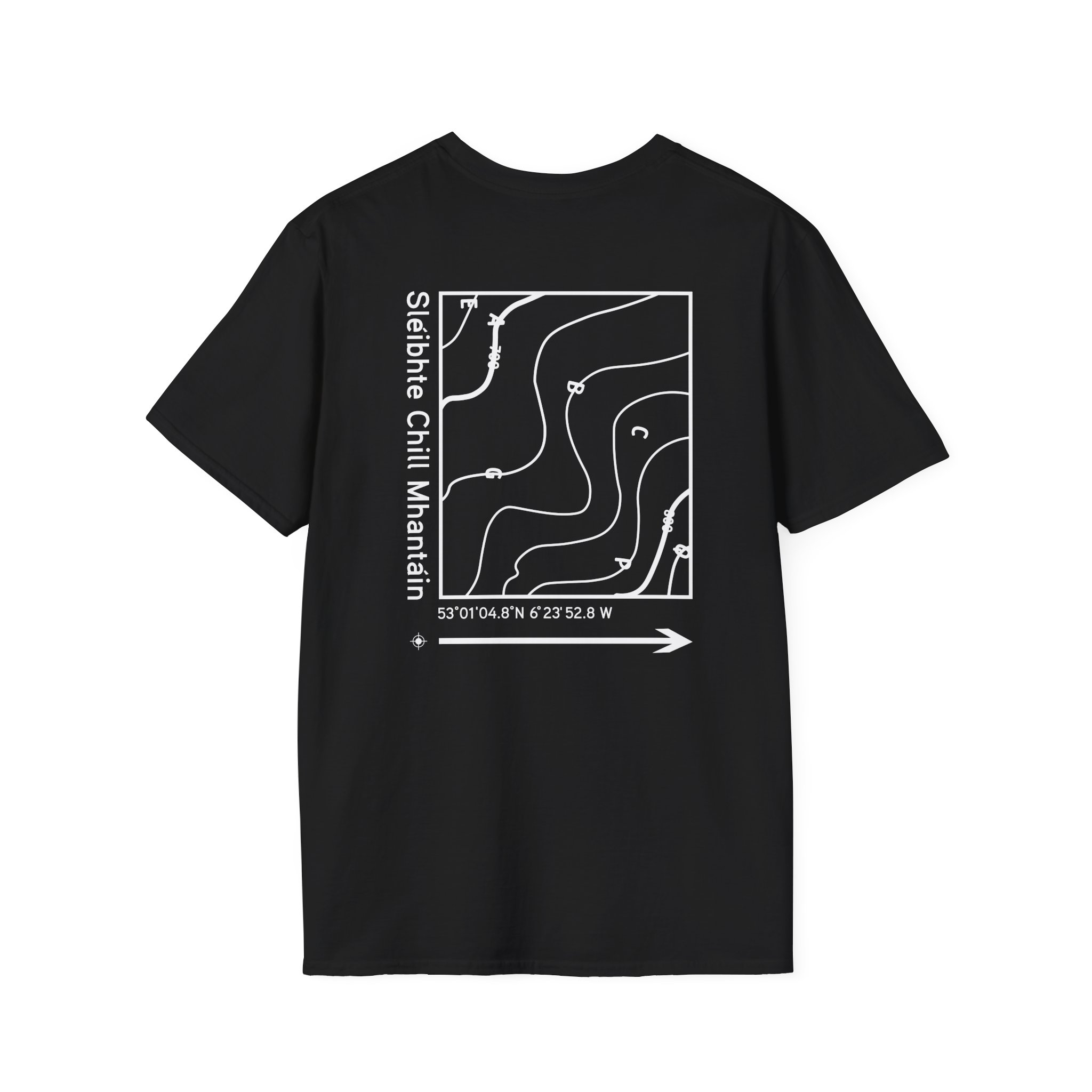 Dermot Kennedy Unisex Softstyle T-Shirt