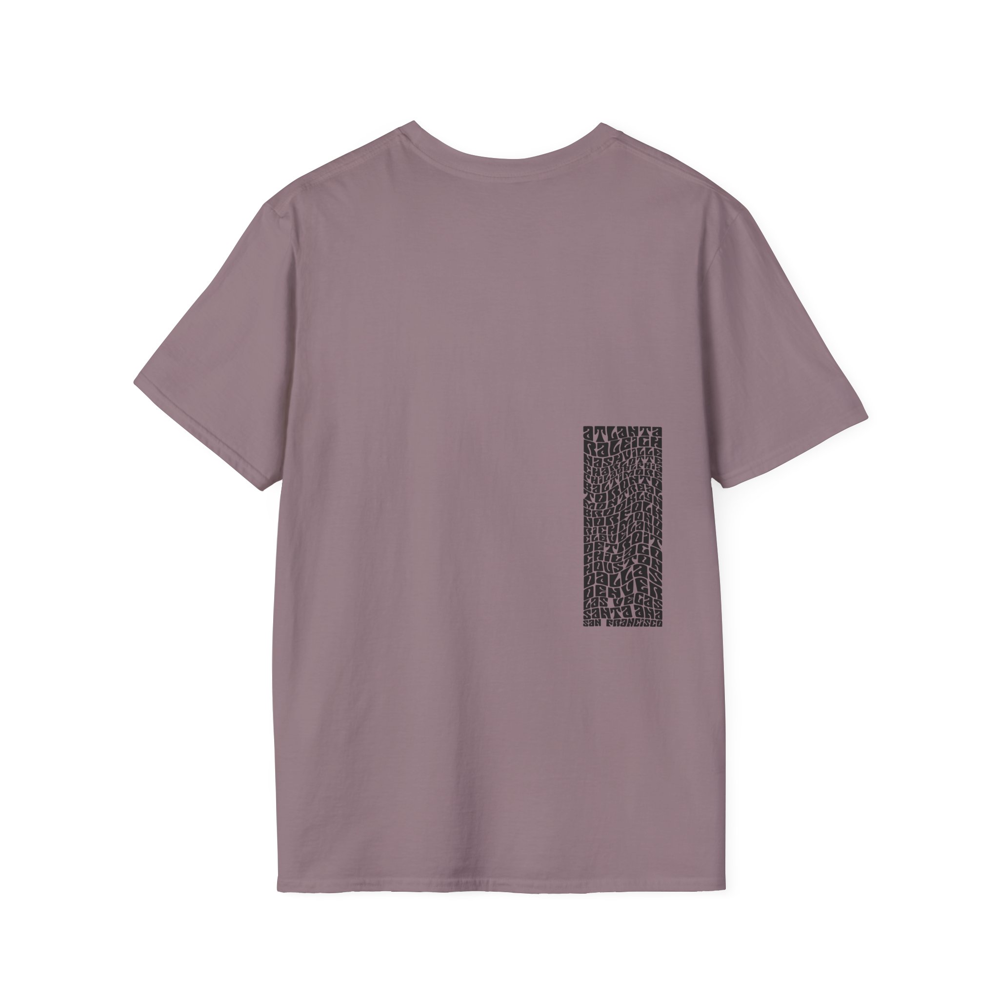 HER Wavy Hair Unisex Softstyle T-Shirt