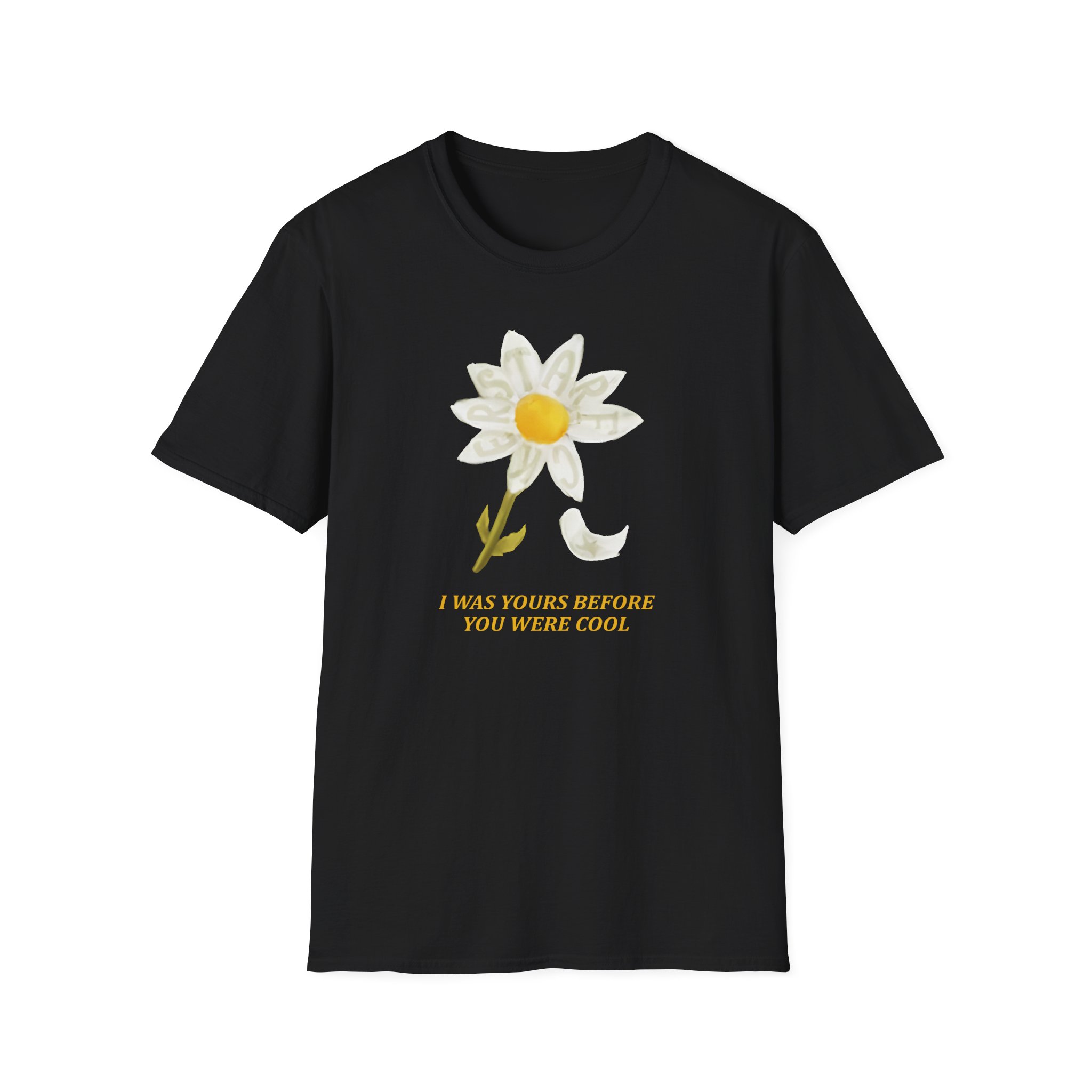 Finneas For Cryin' Out Loud Tour Unisex Softstyle T-Shirt