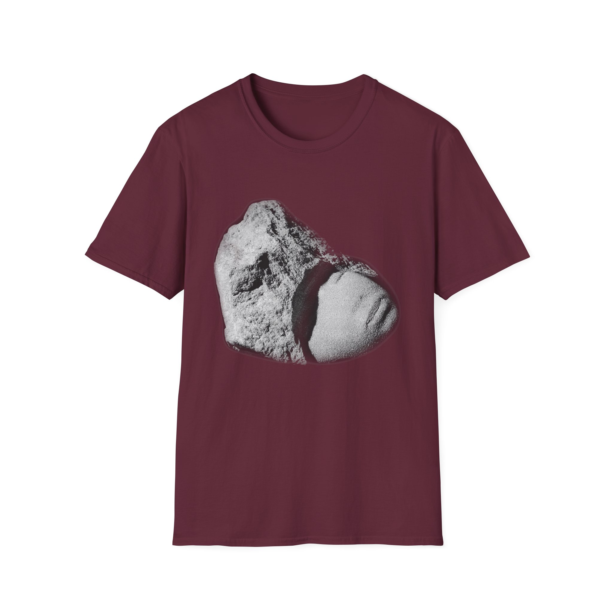 The Cure Songs of a Lost World Unisex Softstyle T-Shirt