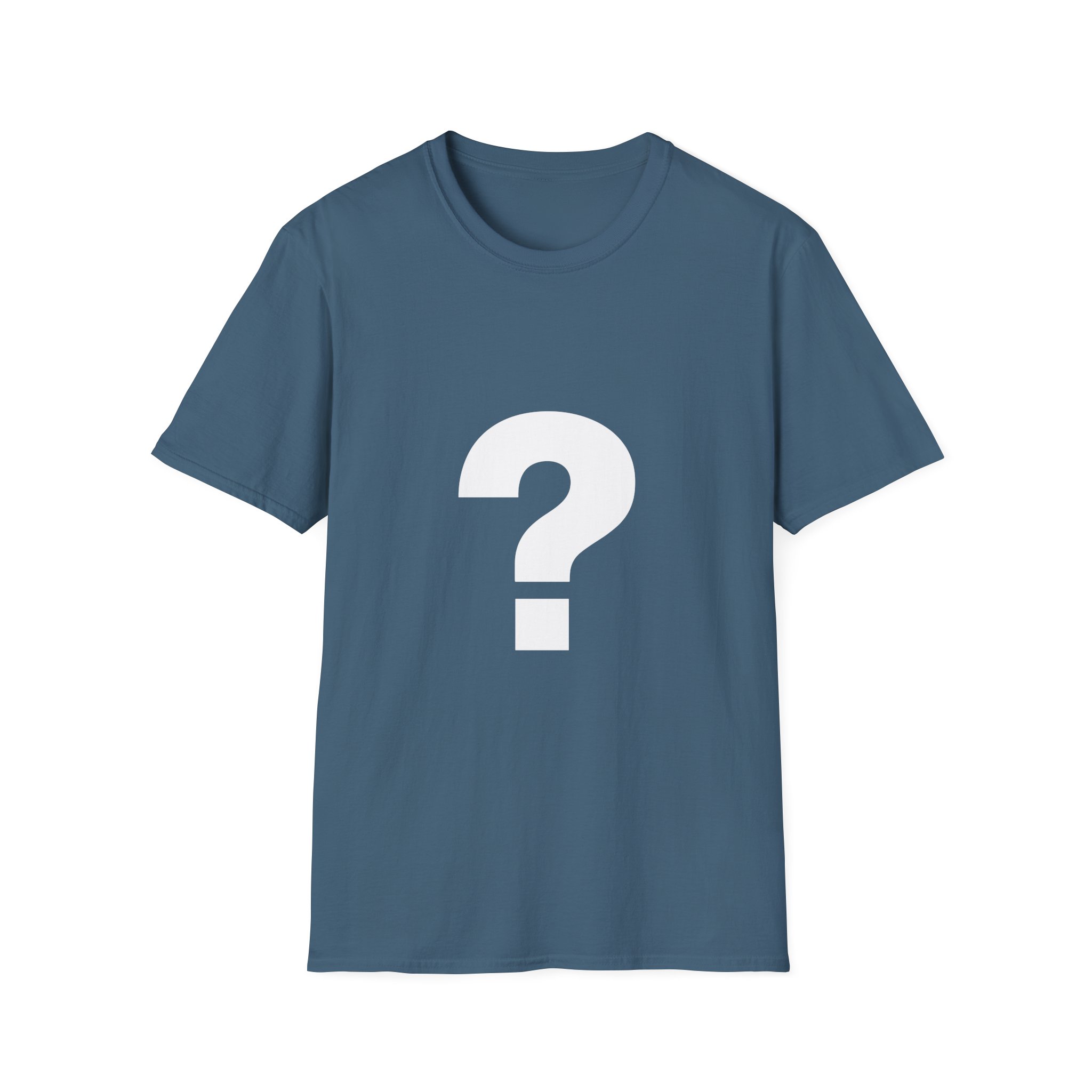 The Front Bottoms Mystery Unisex Softstyle T-Shirt