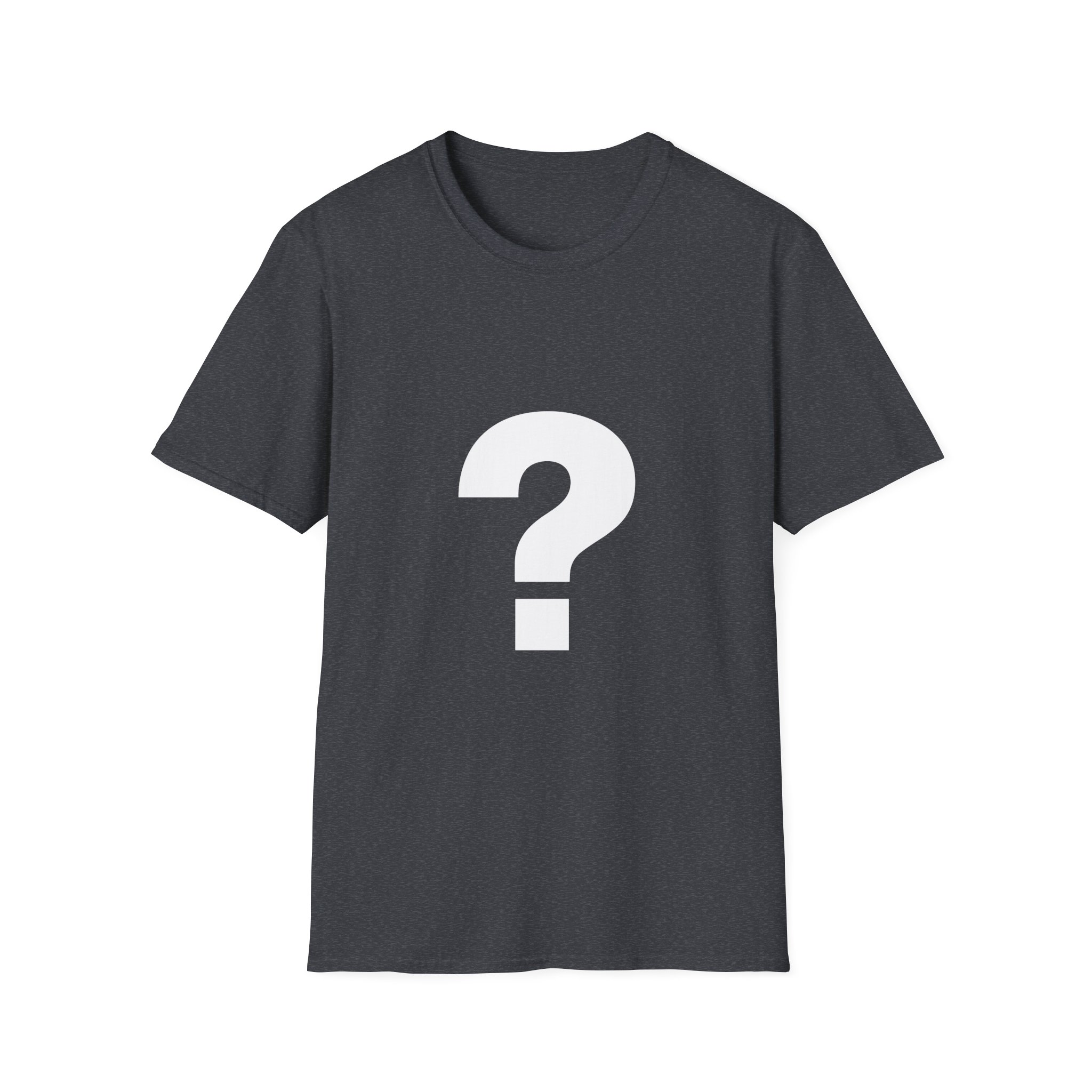 The Front Bottoms Mystery Unisex Softstyle T-Shirt
