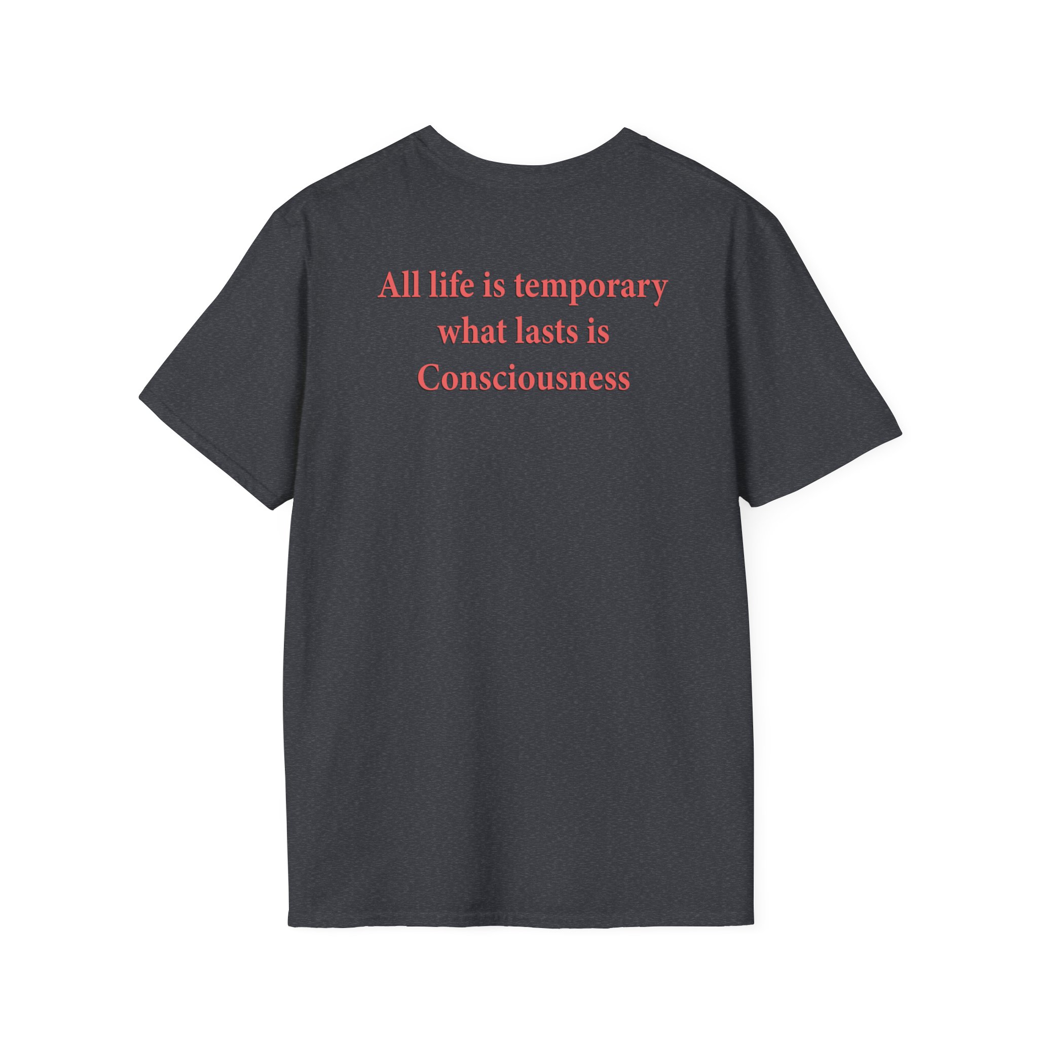 Blood Incantation All Life Is Temporary Unisex Softstyle T-Shirt