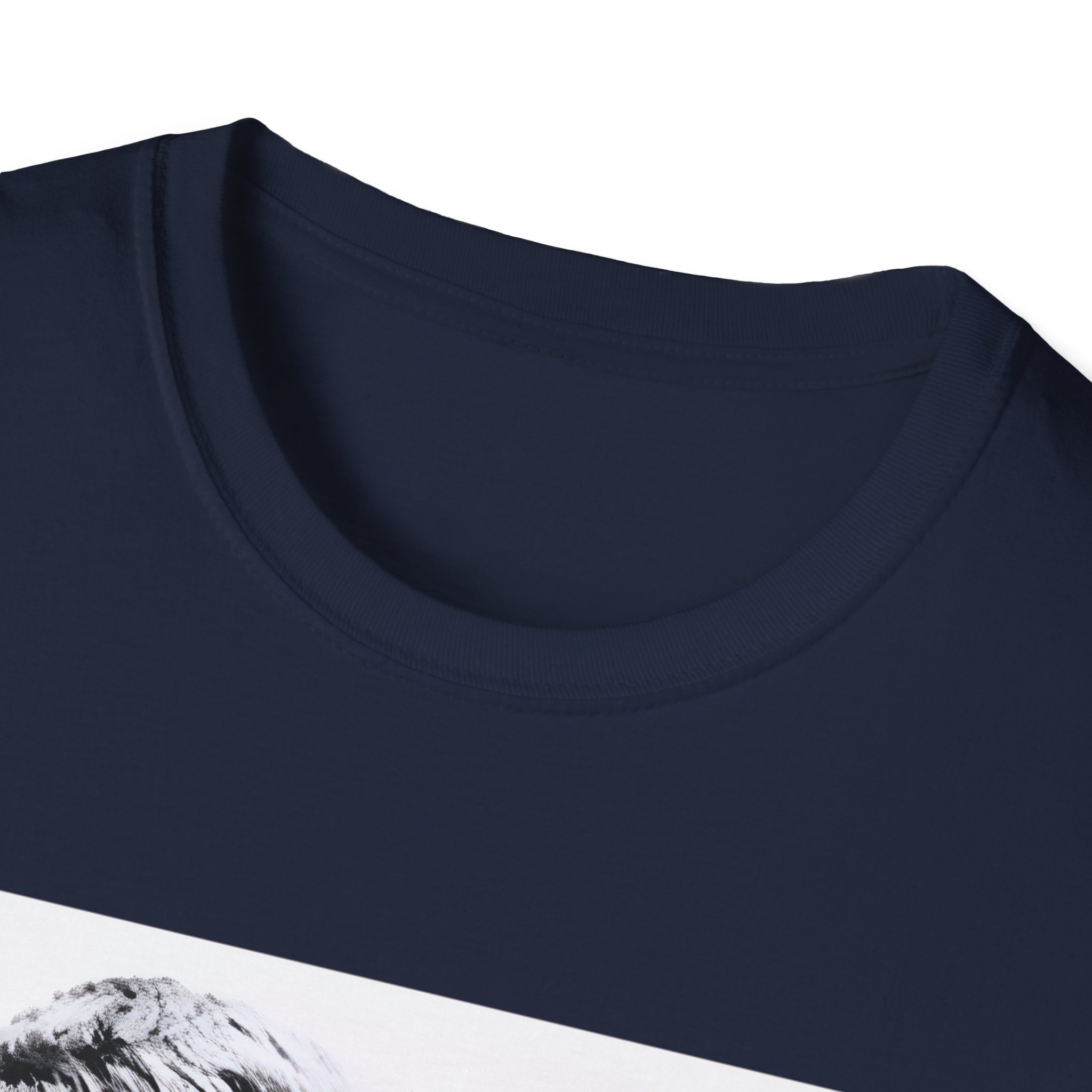 Oasis Liam & Noel Unisex Softstyle T-Shirt
