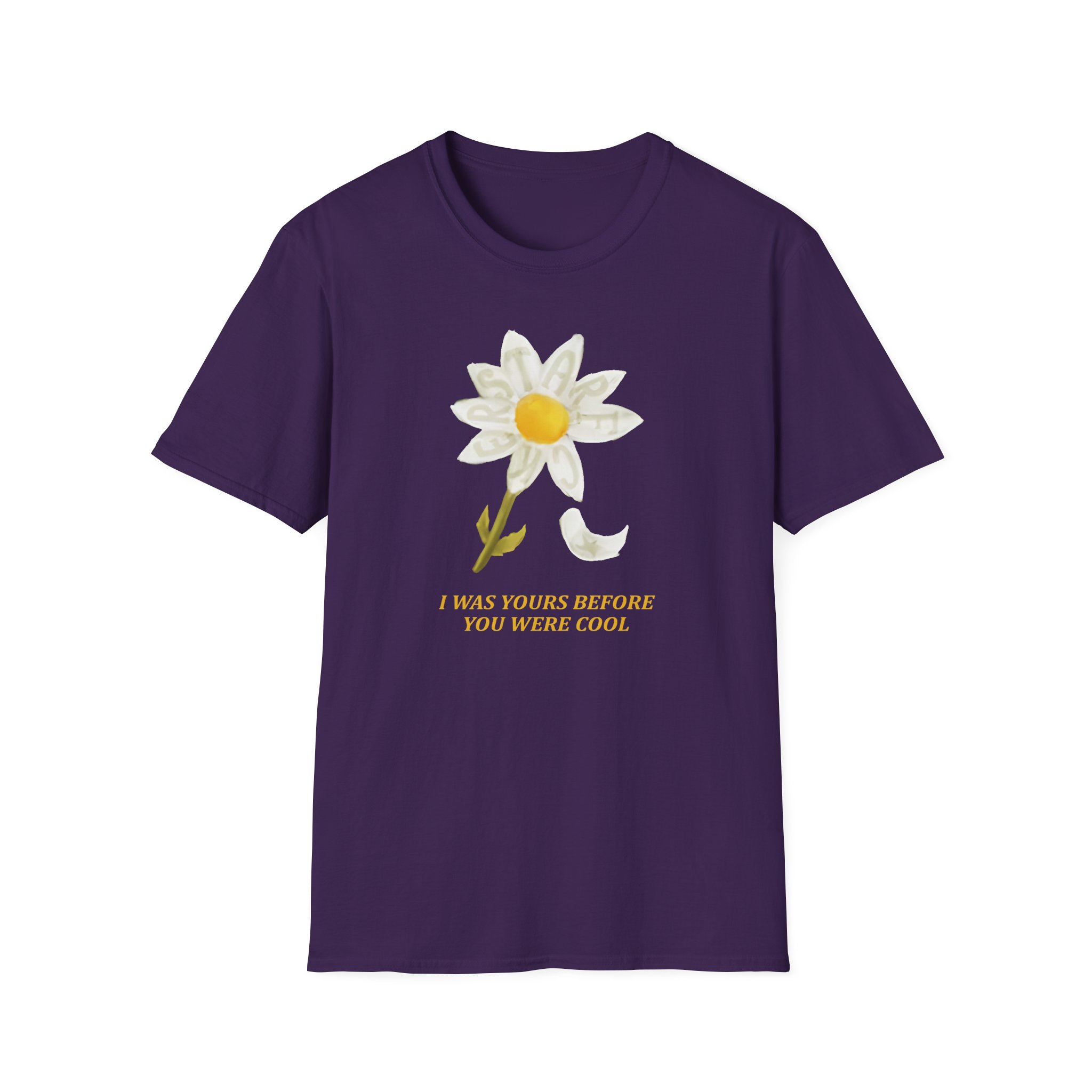 Finneas For Cryin' Out Loud Tour Unisex Softstyle T-Shirt
